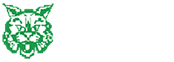 Lince Zeladoria Patrimonial